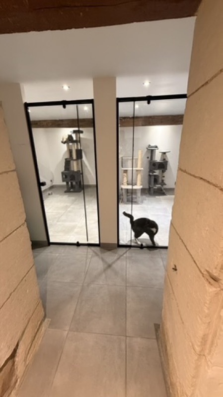 Chatterie sécurisée et confortable pour garde de chats à Leigné-les-Bois