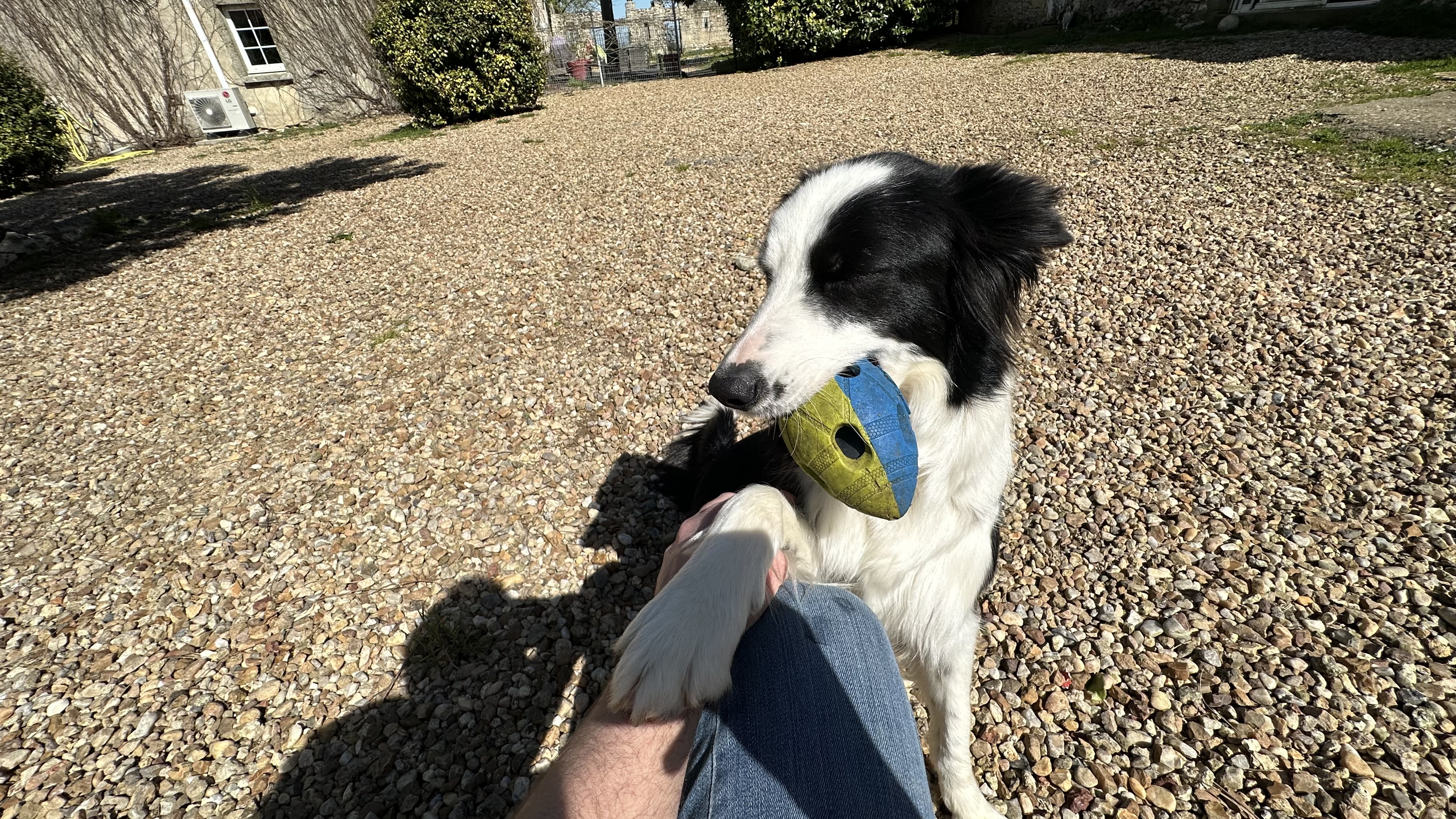 Vue extérieure des chalets