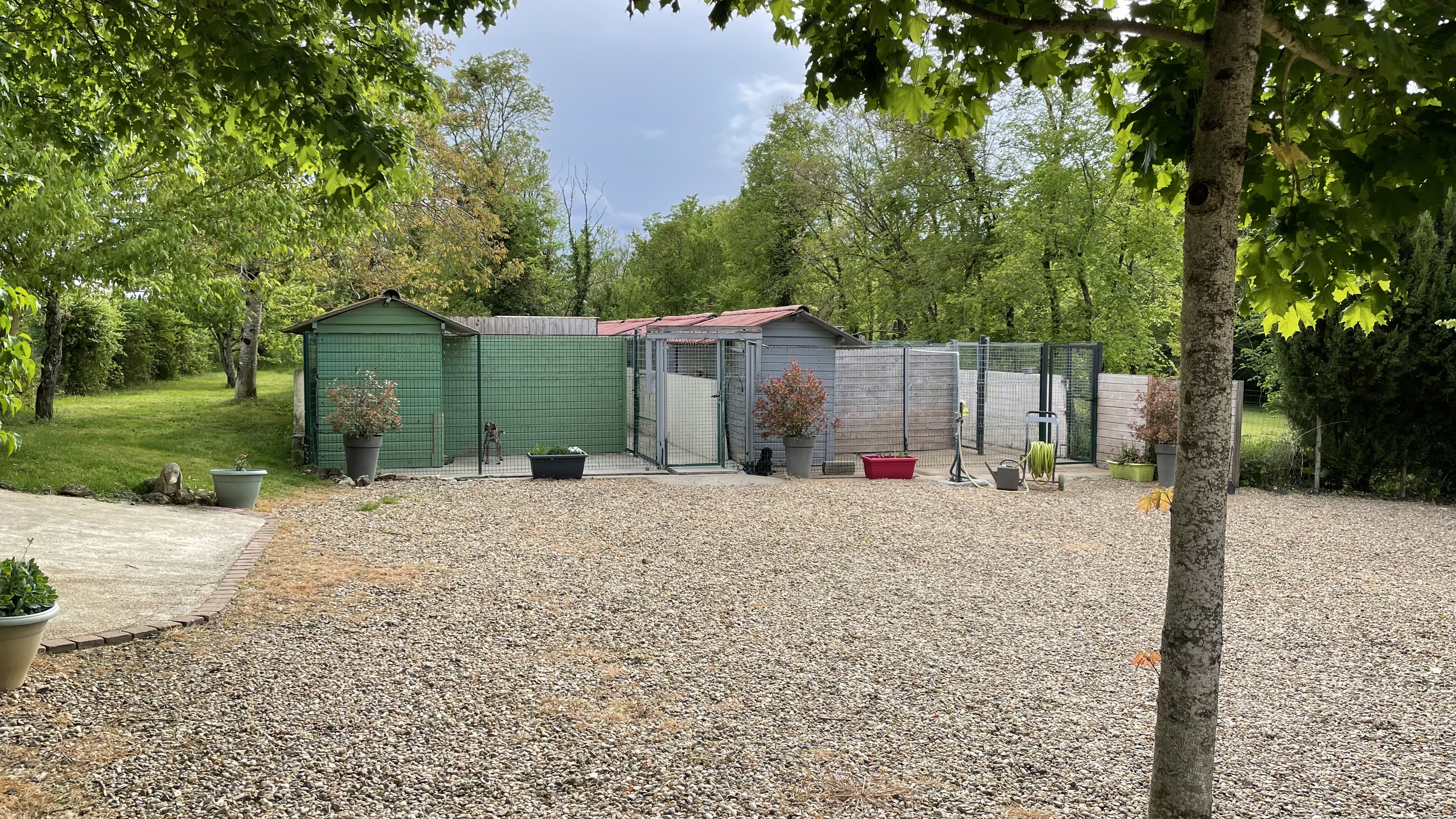 Moment de jeu dans la cour