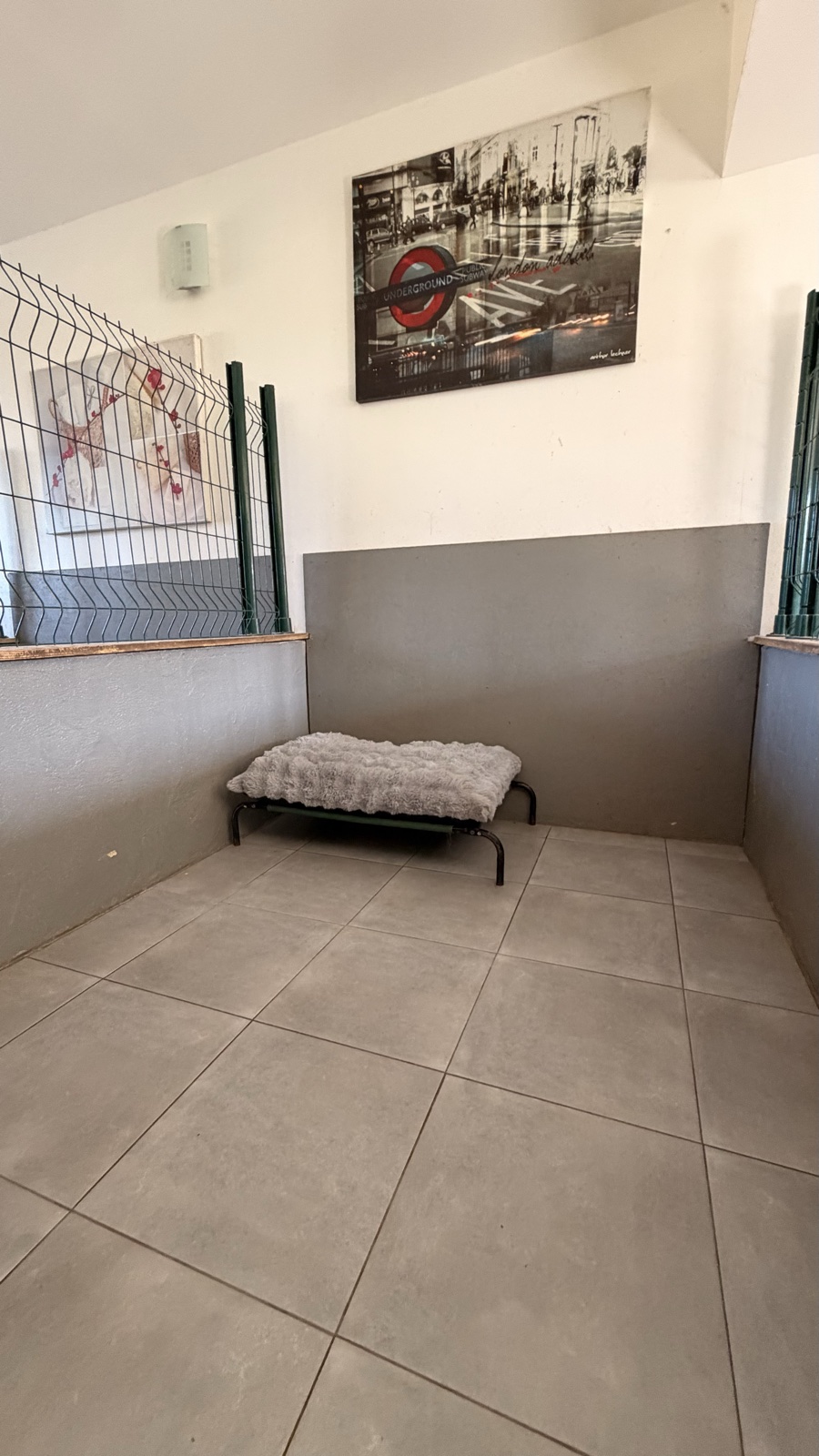 Intérieur d'un box chatterie : couchage douillet et décoration chaleureuse