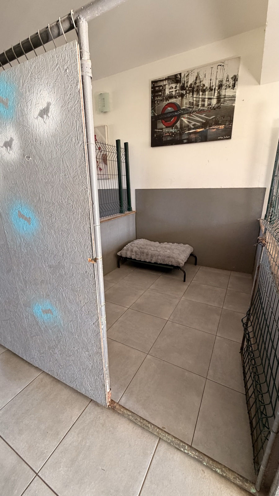 Box individuel de la chatterie rénovée, porte sécurisée et couchage confortable