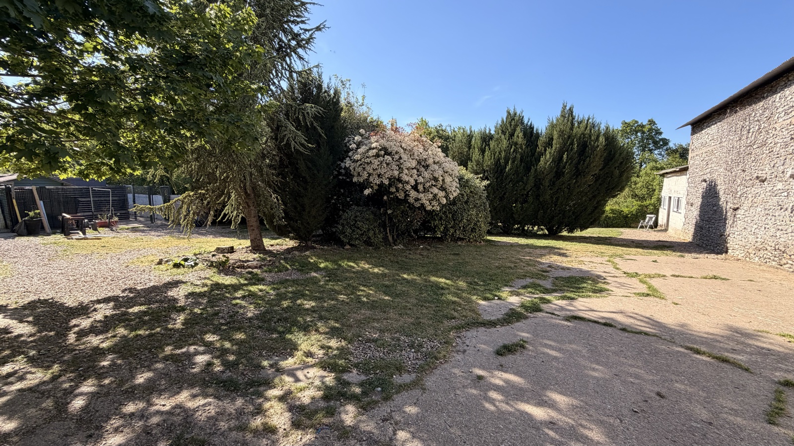 Jardin fleuri de la pension, espace de détente et promenade pour les chiens