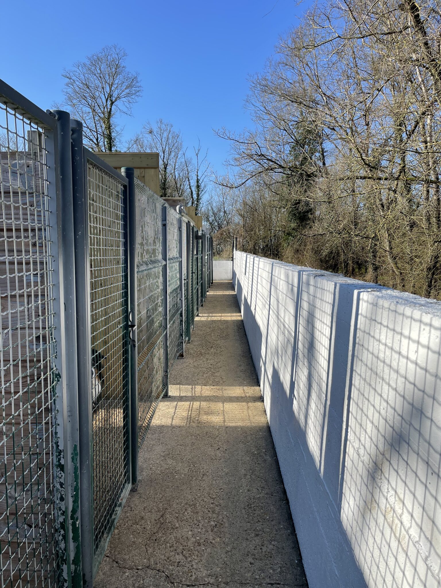 Couloir des box individuels chauffés de la pension canine La Grande Chauffetière